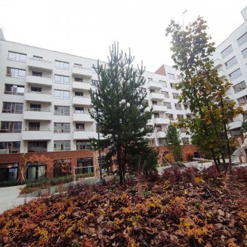Свободное назначение - Коммерческая, 291 м²