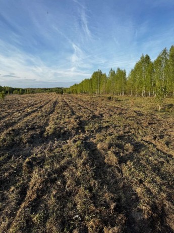 Участок (ИЖС), 10 сот.