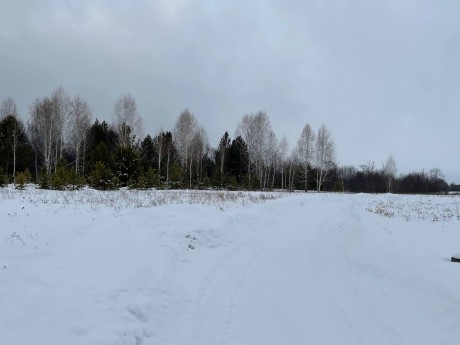 Участок (ИЖС), 37 сот.