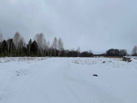 Участок (ИЖС), 37 сот.