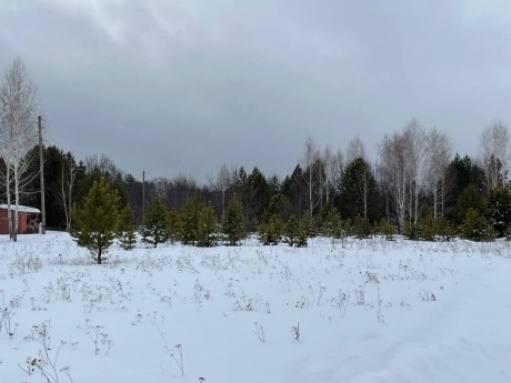 Участок (ИЖС), 37 сот.