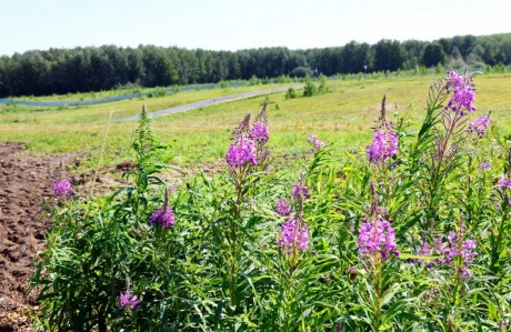 Участок (ИЖС), 8.7 сот.
