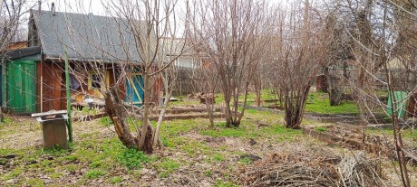 Участок (СНТ), 4.3 сот.