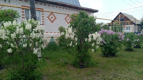 Дом, 117.5 м², 12.8 сот.,  эт.
