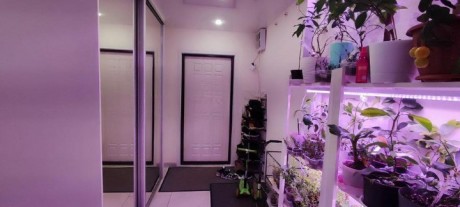 2к - квартира, 67.4 м², 6/14 эт.