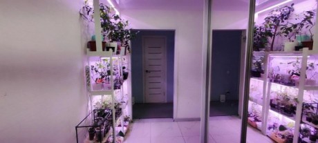 2к - квартира, 67.4 м², 6/14 эт.