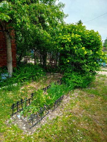 Дом, 31.5 м², 4.14 сот., 1 эт.