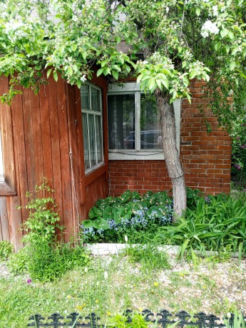 Дом, 31.5 м², 4.14 сот., 1 эт.