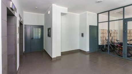 1к - квартира, 38.3&nbsp;м², 11/17&nbsp;эт.