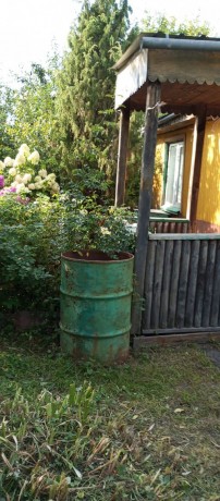 Участок (СНТ), 4.3 сот.