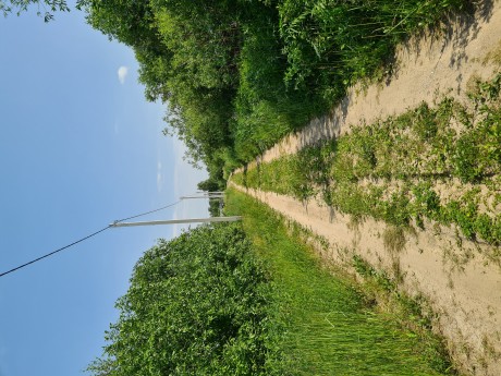 Участок (СНТ), 9.9 сот.