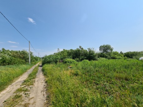 Участок (СНТ), 9.9 сот.